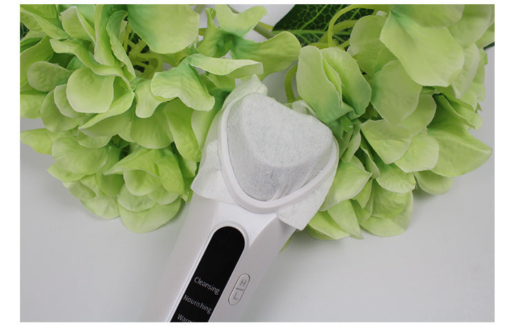 Electric Ultrasonic Beauty Device