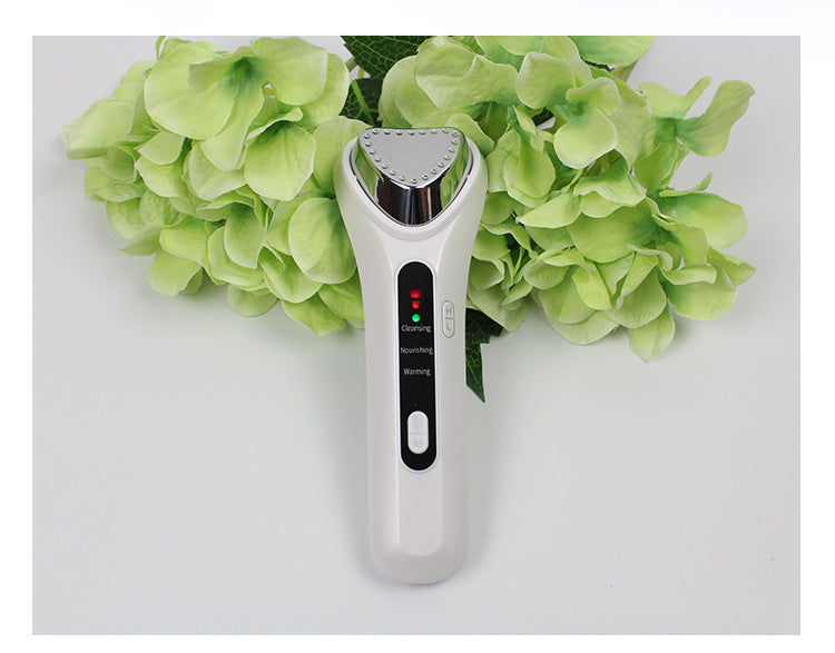 Electric Ultrasonic Beauty Device